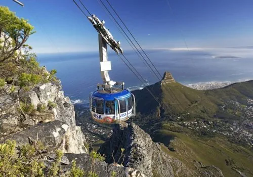 Cape Town Wine and Whales Tour Cape Town Wine and Whales Tour