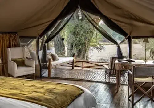 Wild Tanzania Luxury Safari Wild Tanzania Luxury Safari